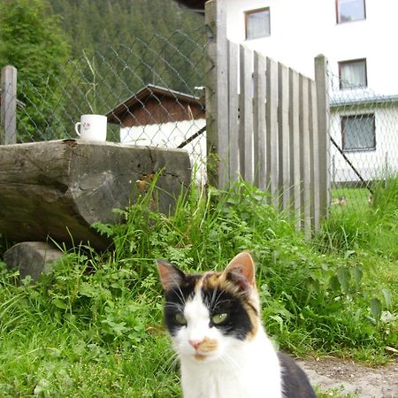 Seer Hof Kaunertal Exterior foto