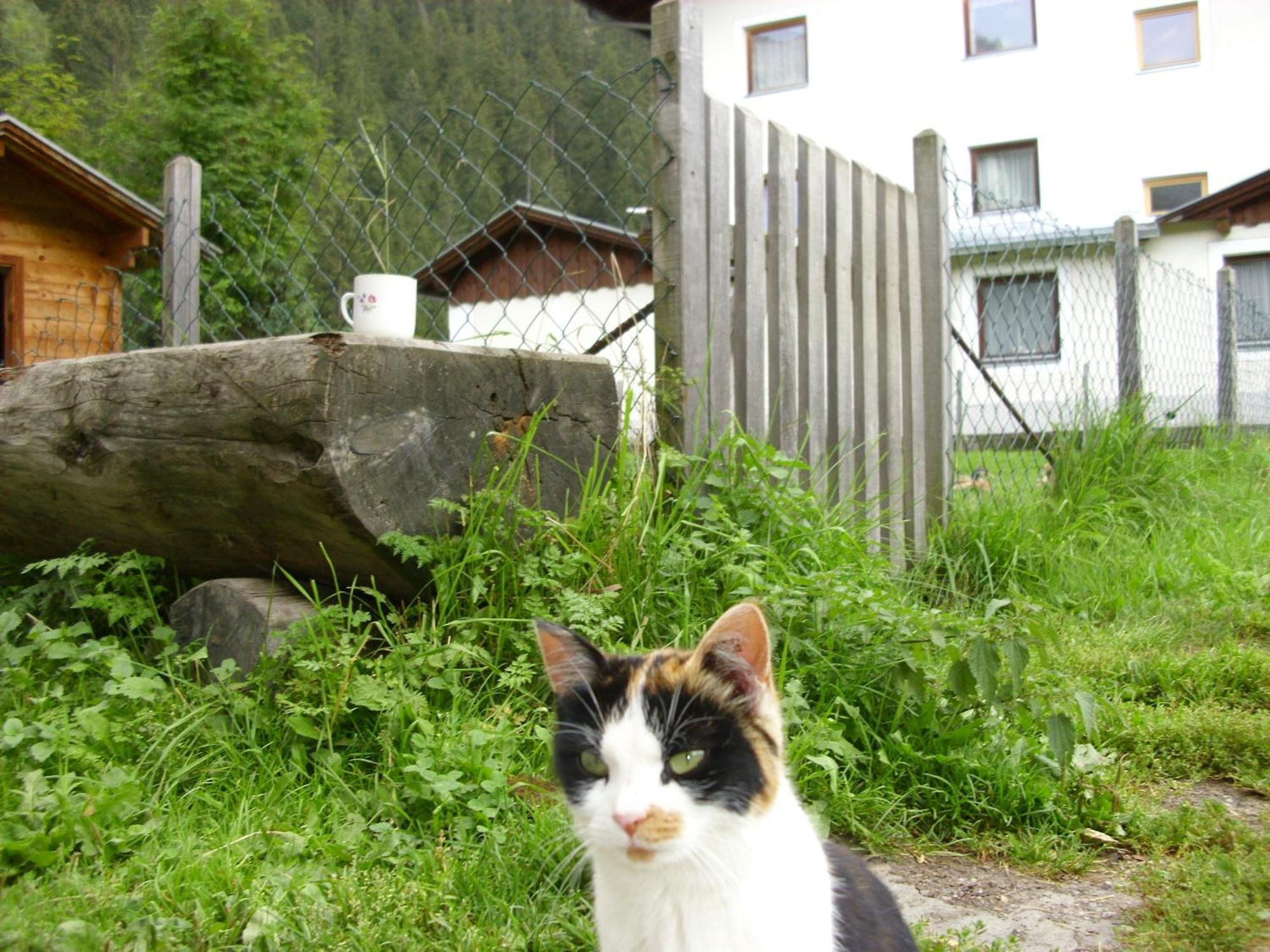 Seer Hof Kaunertal Exterior foto